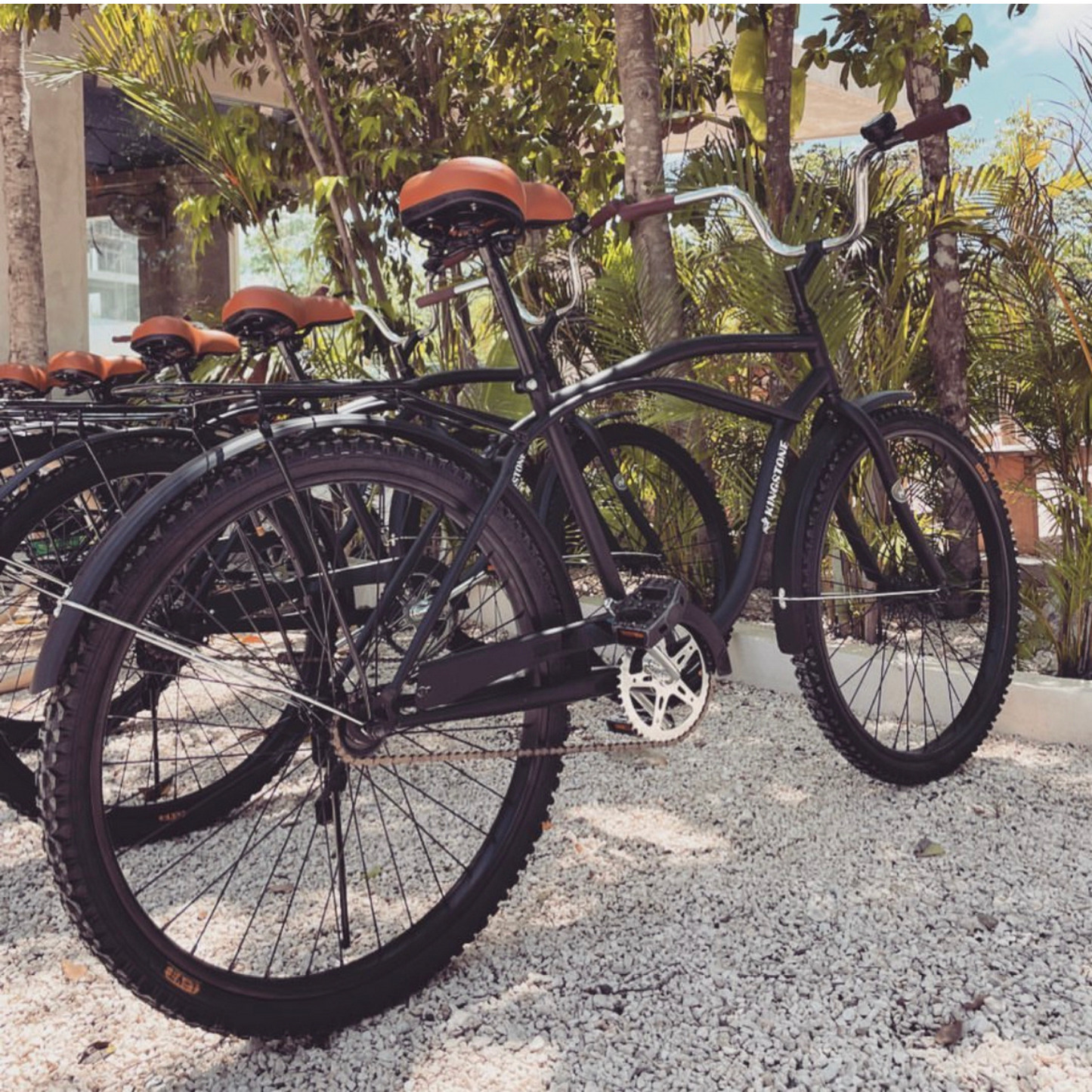 Bicycle Rentals 24 Hrs.