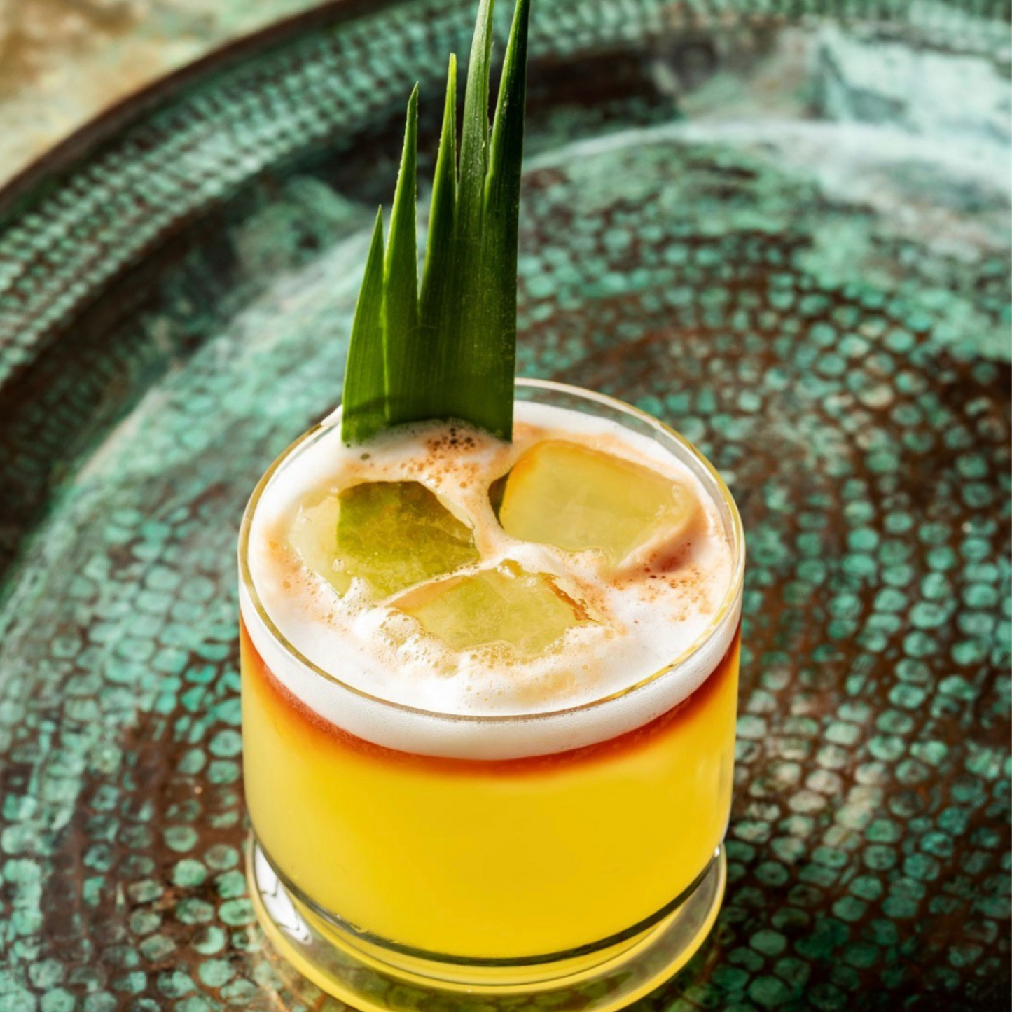 Tequila and Mezcal Tasting Experience